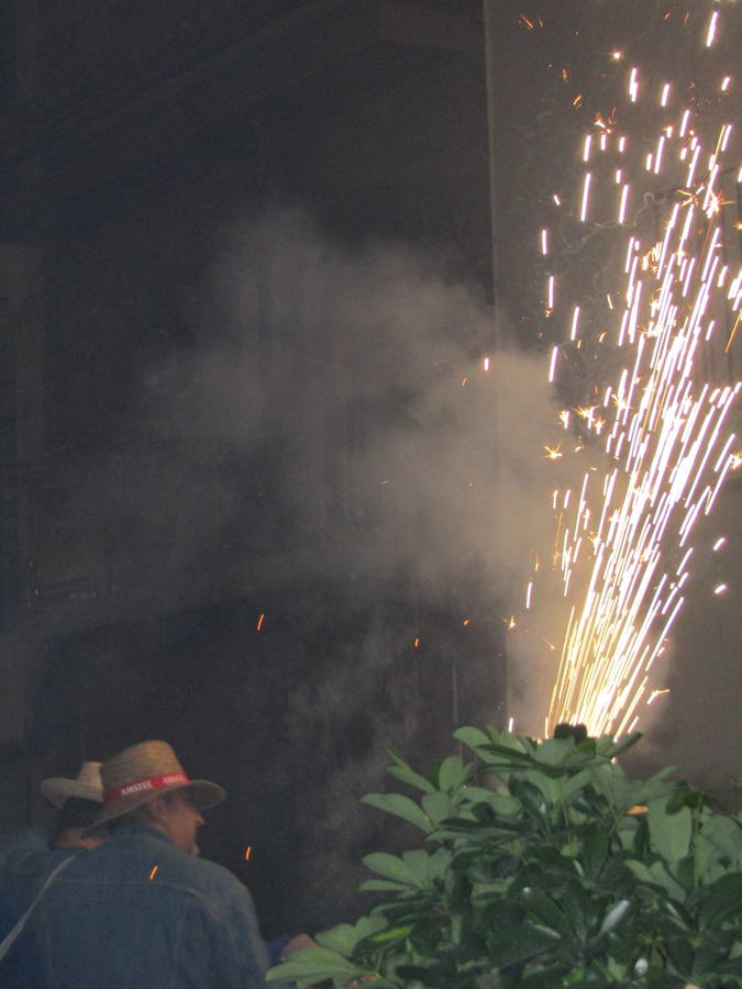 Fotos de la bajada de Sant Roc en Serra