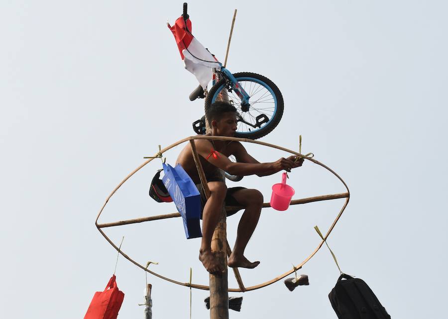 Tailanda celebra su Día de la Independencia de una manera muy peculiar: colocan en vertical los troncos talados de nogales que engrasan con aceite para dificultar la llegada a la cima en la que se encuentran varios premios. 