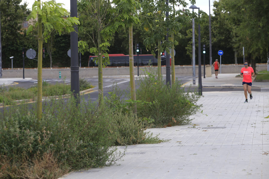 Fotos del parque bloqueado de Malilla