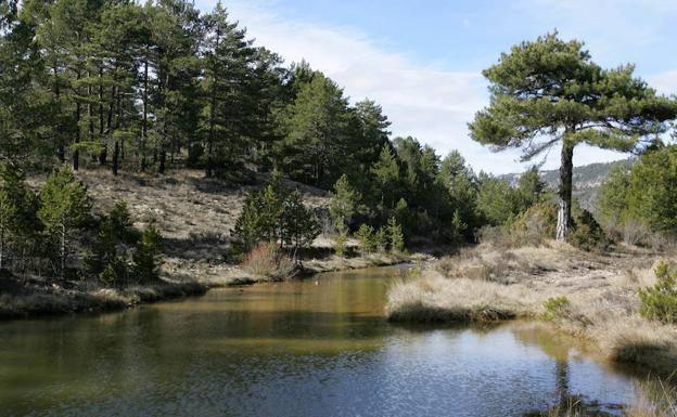 El río Cabriel, en una foto de archivo.