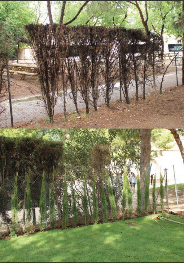 Fotos de la restauración del Parque Gulliver de Valencia
