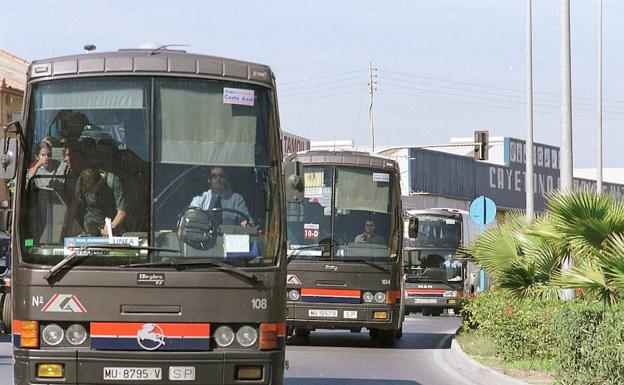 Autobuses circulando por una calle céntrica de Torrevieja.