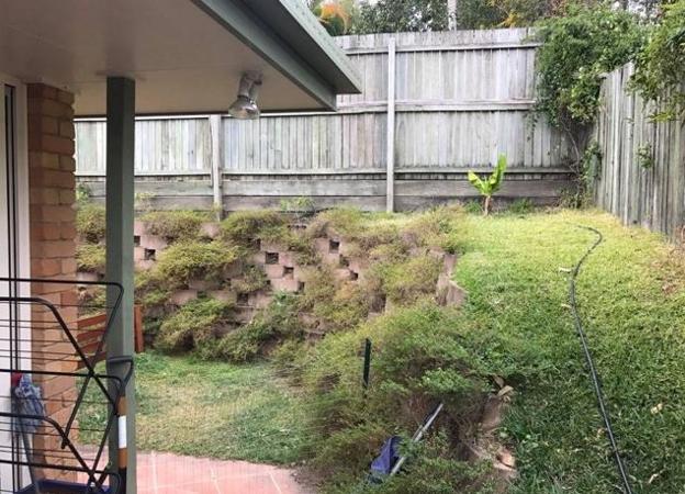 Descubre la serpiente escondida en el jardín