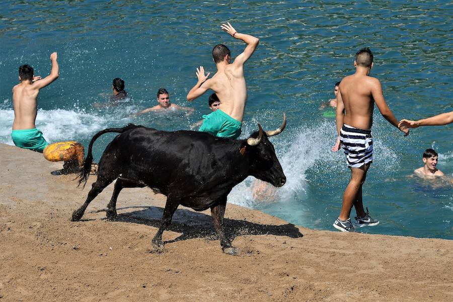 Fotos del último día de bous a la mar de Xàbia