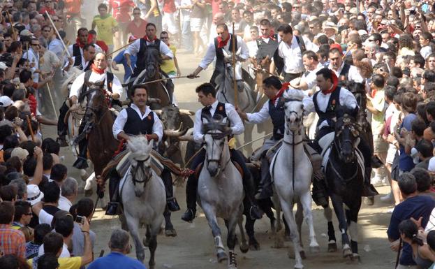 Entrada de toros y caballos de Segorbe. 