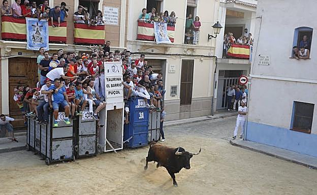 Los bous toman Puçol por el 7 de septiembre