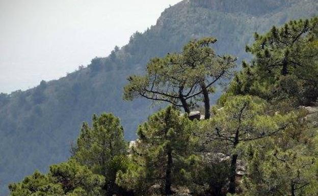 Vistas de la Sierra Calderona.