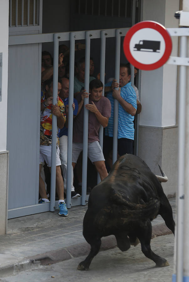 Fotos de la desencajonada de toros en Puçol