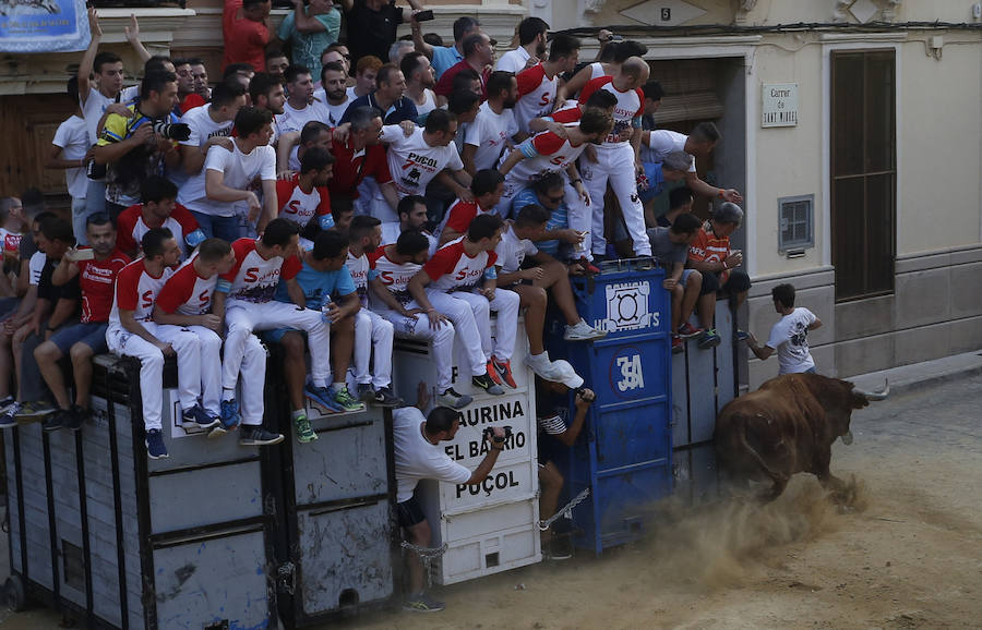 Fotos de la desencajonada de toros en Puçol