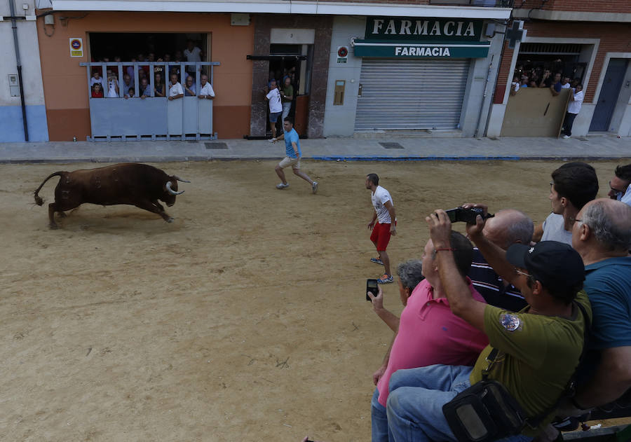 Fotos de la desencajonada de toros en Puçol