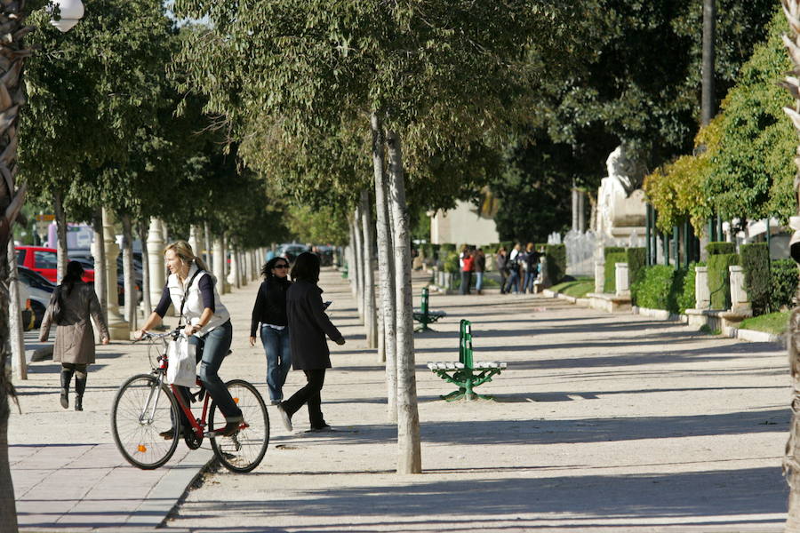 Paseo de la Alameda