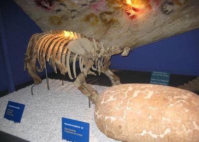 Imagen secundaria 1 - Detalle de alguno de los fósiles del Museo de Ciencias Naturales. 