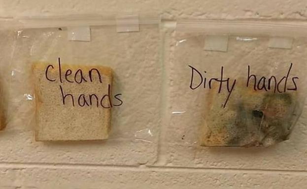 El experimento que demuestra lo importante que es lavarse las manos antes de comer