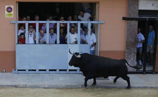 Unos de los toros exhibidos el 7 de septiembre en Puçol. 