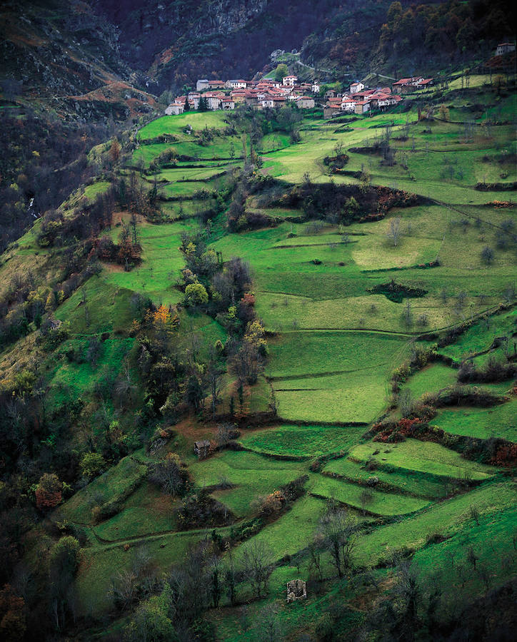 Bosques de Saja (Cantabria)