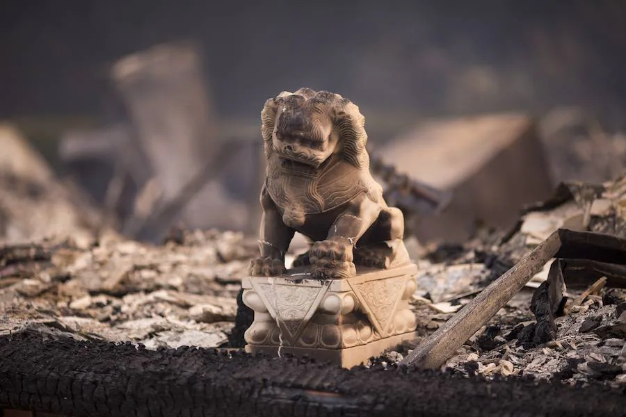 Fotos de la devastación ocurrida en California tras los diferentes incendios que han provocado una pérdida de 46.500 hectáreas.