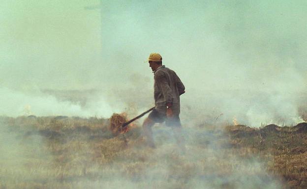 Un agricultor durante la tradicional quema de arroz.