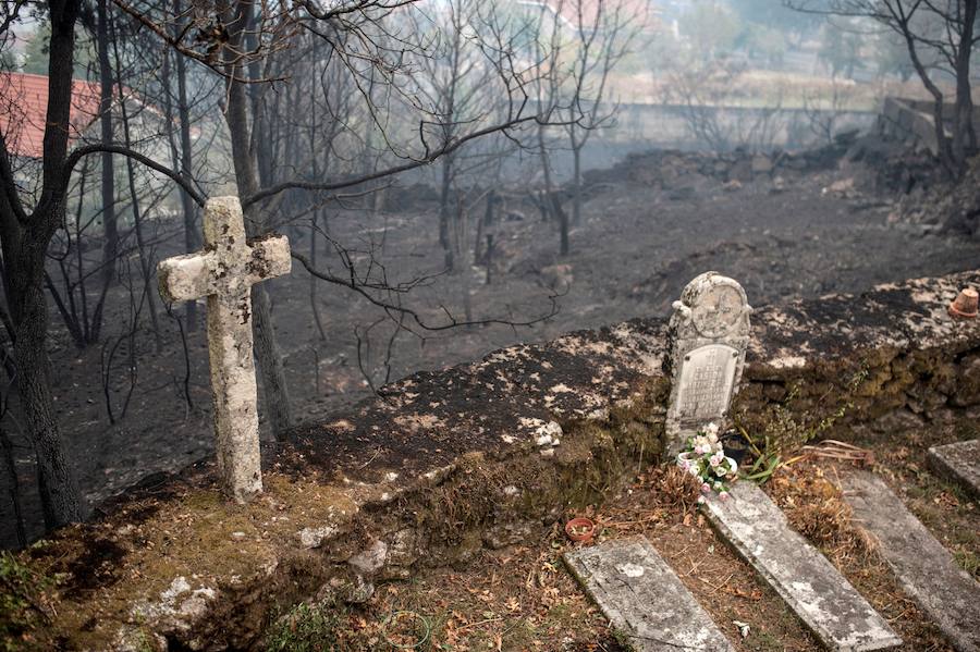 Fotos de la destrucción y la devastación provocada por los incendios forestales incontrolados en Galicia. 