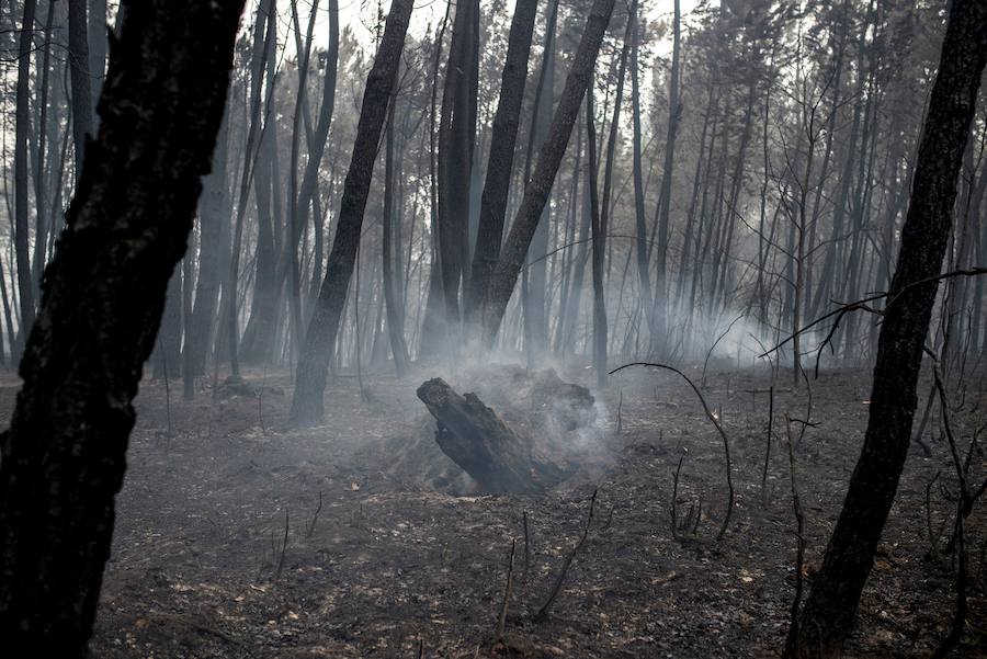 Fotos de la destrucción y la devastación provocada por los incendios forestales incontrolados en Galicia. 