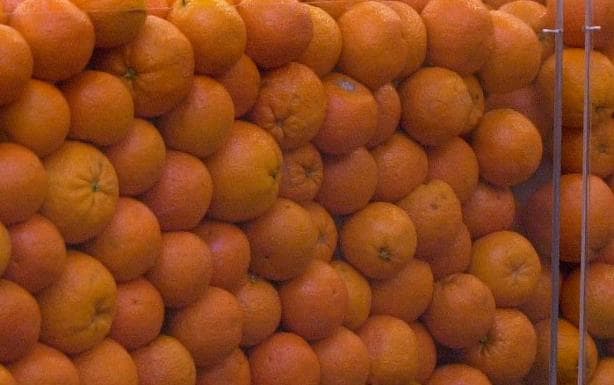Correos inicia una campaña para el envío de naranjas y mandarinas valencianas