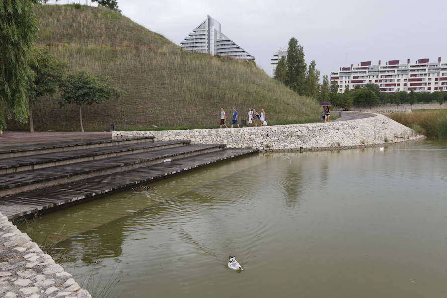 Parque de Cabecera.