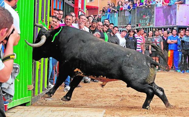 Un toro embiste un cadafal