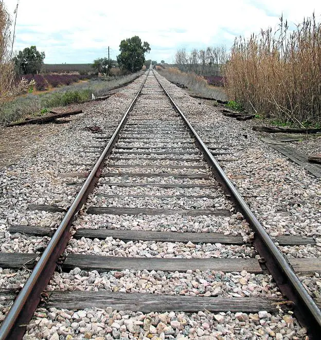 Vías del 'viaje eterno' en un tramo de la línea férrea a Badajoz. 