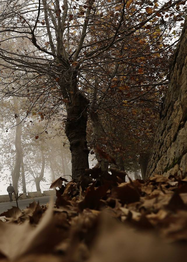 El Líbano se rompe. Emiratos Árabes Unidos (EAU) se ha sumado a Arabia Saudí y Kuwait al pedir a sus ciudadanos que no viajen al Líbano, aunque no les ordenó que abandonen el país, debido a la crisis de Gobierno creada por la dimisión del primer ministro Saad Hariri.