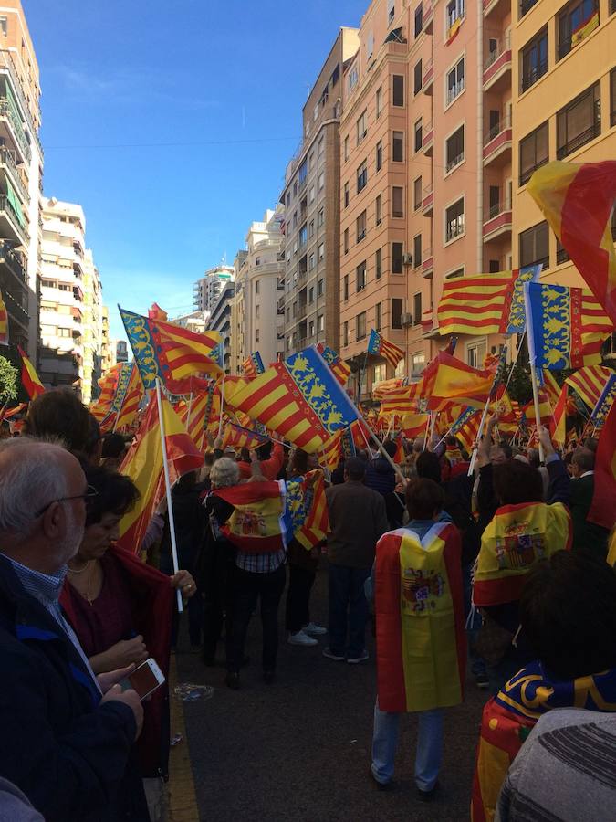 Fotos de la manifestación valencianista en Valencia