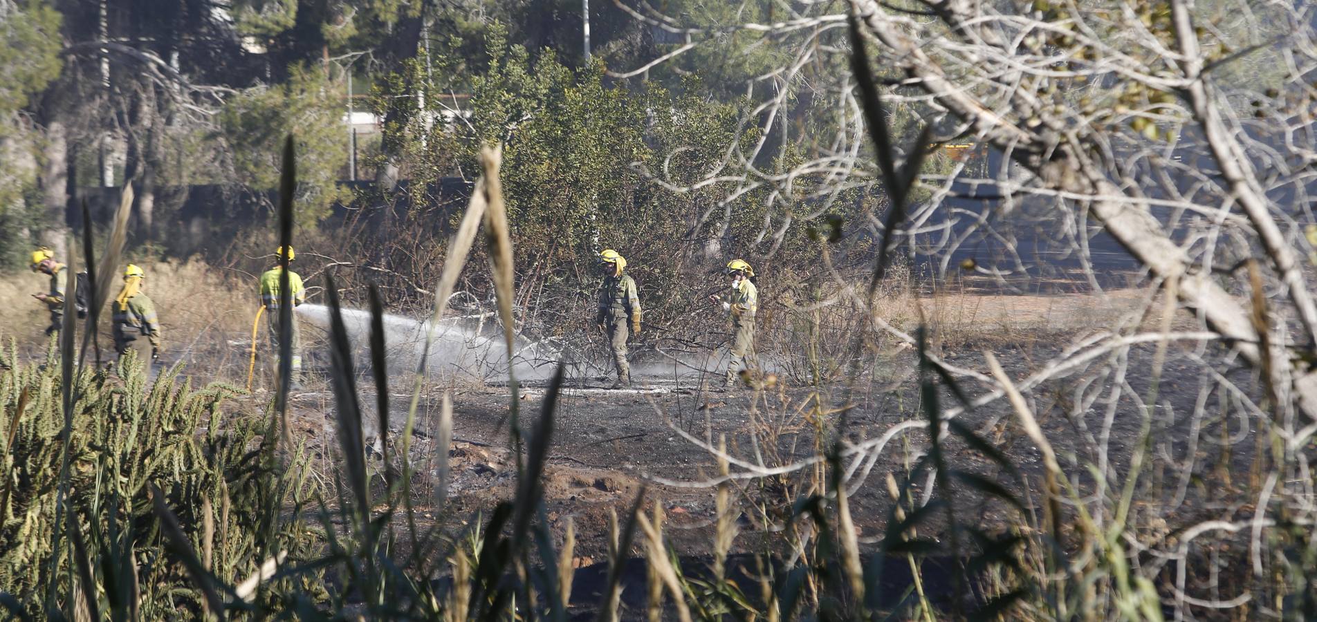 Fotos del incendio en Riba-roja que ha obligado a desalojar varios chalés