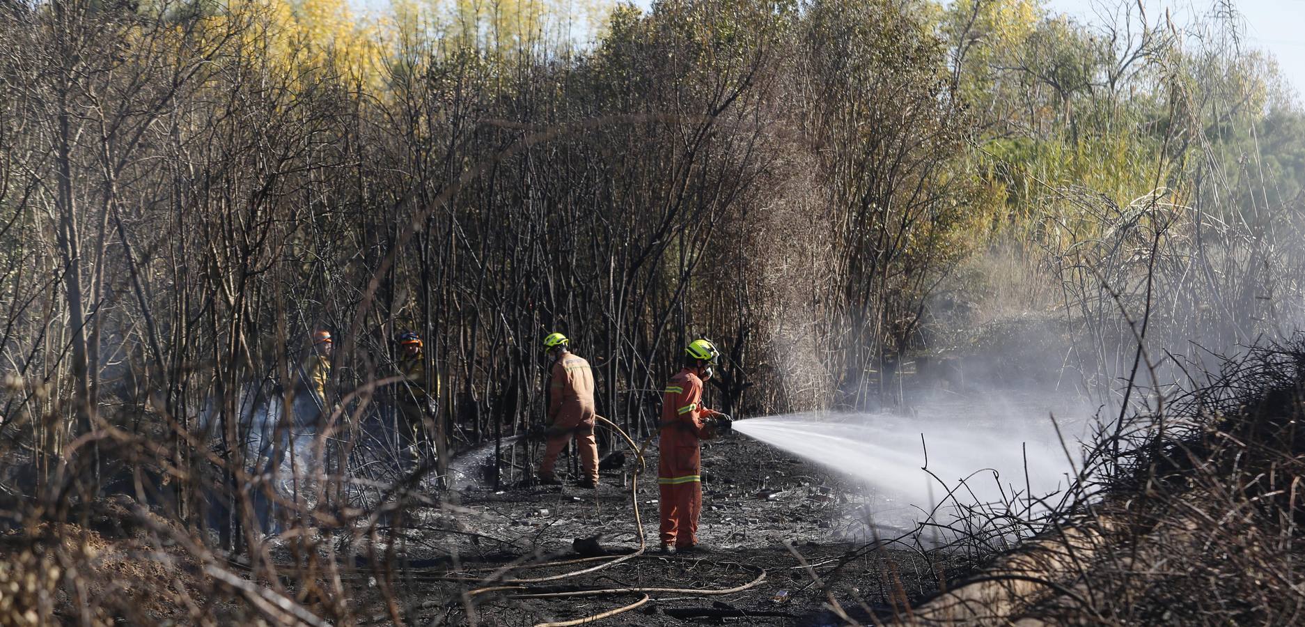 Fotos del incendio en Riba-roja que ha obligado a desalojar varios chalés