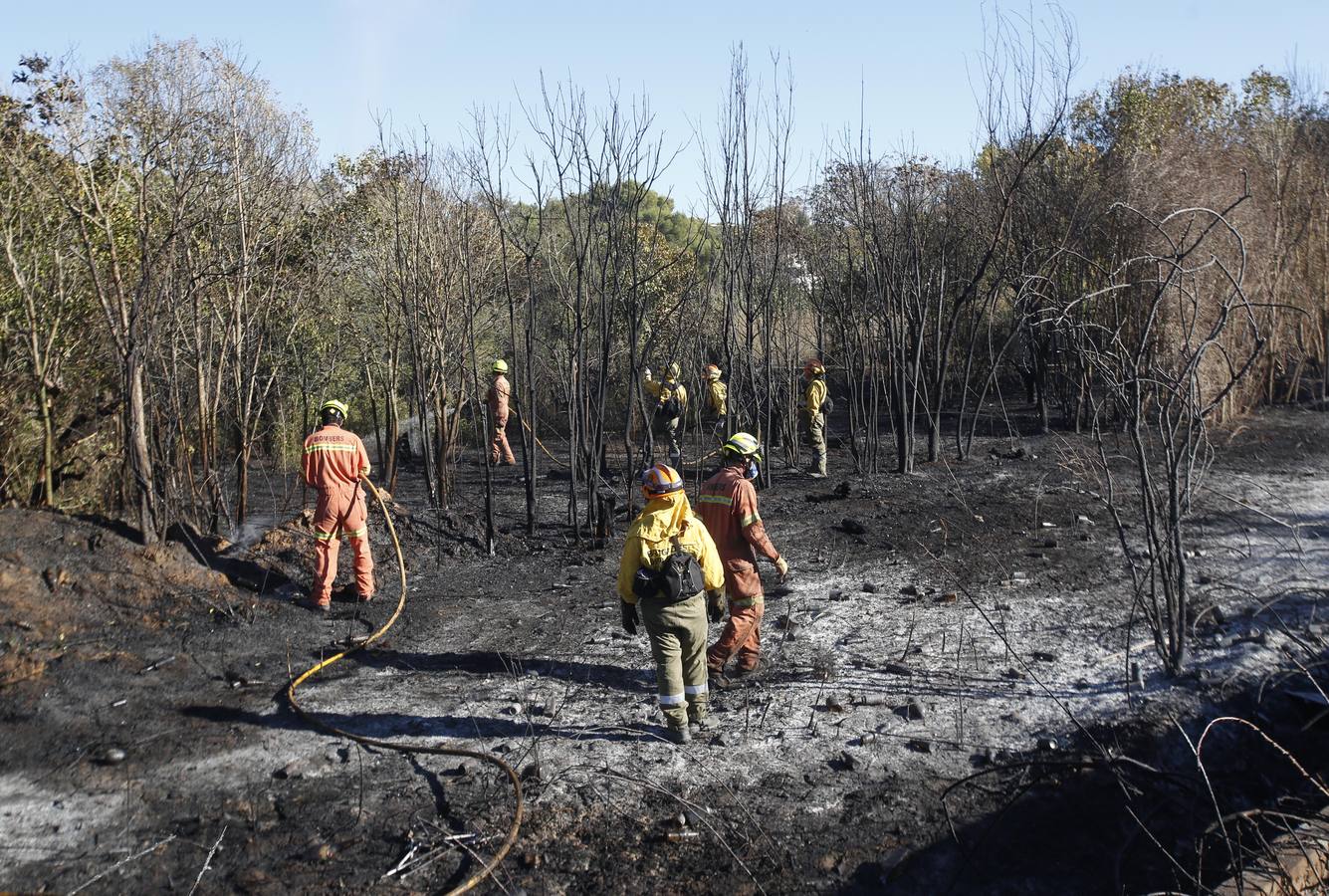 Fotos del incendio en Riba-roja que ha obligado a desalojar varios chalés