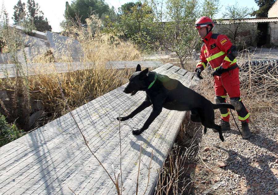 Fotos del tercer Batallón de Intervención de Emergencias de la UME en Bétera