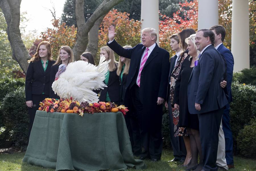 El presidente de los Estados Unidos, Donald J. Trump, indultada al pavo "Drumstick" junto a la primera dama, Melania Trump, y miembros de la familia Wittenburg, durante la 70 ceremonia de presentación del pavo de Acción de Gracias.