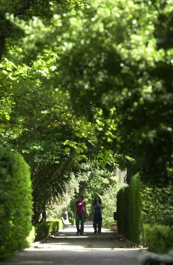 5.- Para perderse: Otro de lugares más bonitos para Casañ es el Jardín Botánico. 