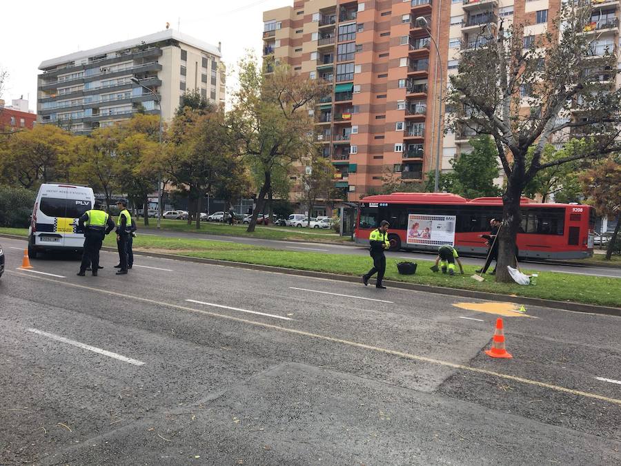 Fotos del accidente en Blasco Ibáñez en el que ha fallecido un peatón atropellado