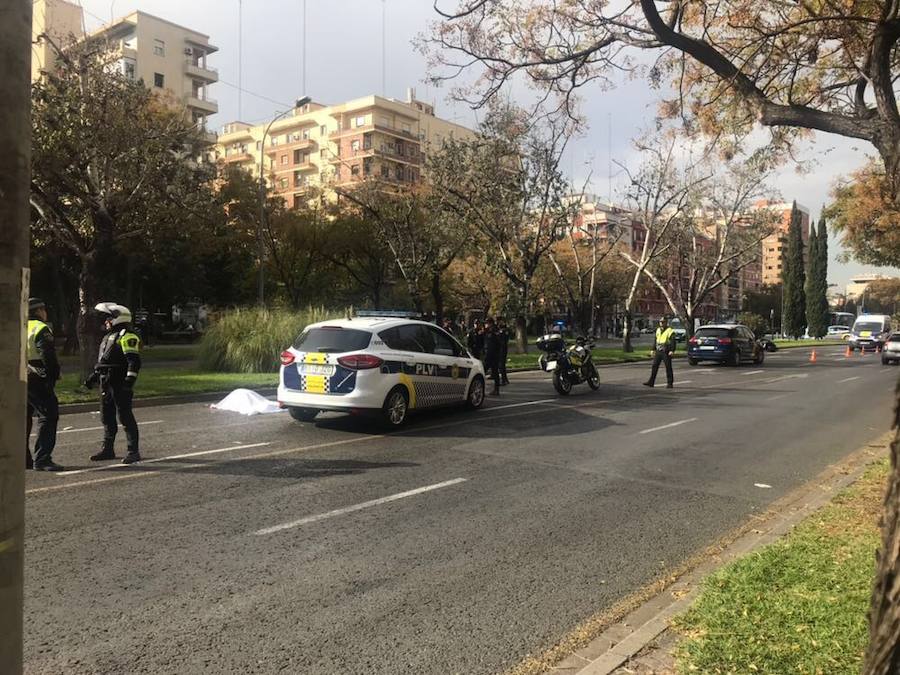 Fotos del accidente en Blasco Ibáñez en el que ha fallecido un peatón atropellado