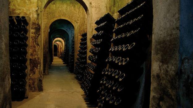 Pupitres con botellas de cava en la bodega de Requena Torre Oria, la primera que fue autorizada a elaborar cava fuera de Cataluña. 