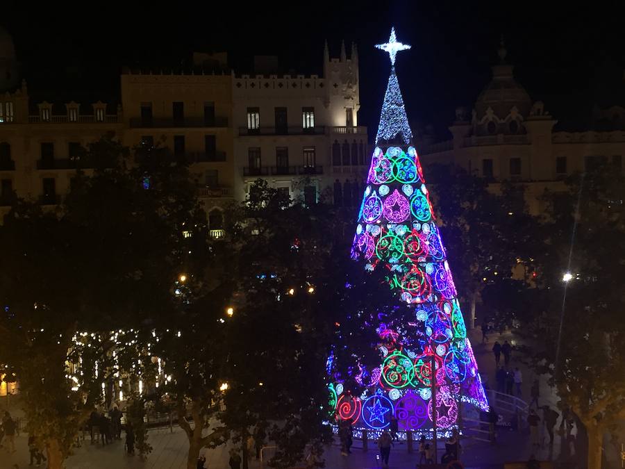 El árbol es visitable por dentro por primera vez