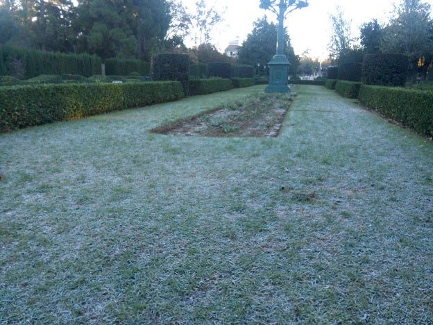 Escarcha en los Jardines de Viveros.