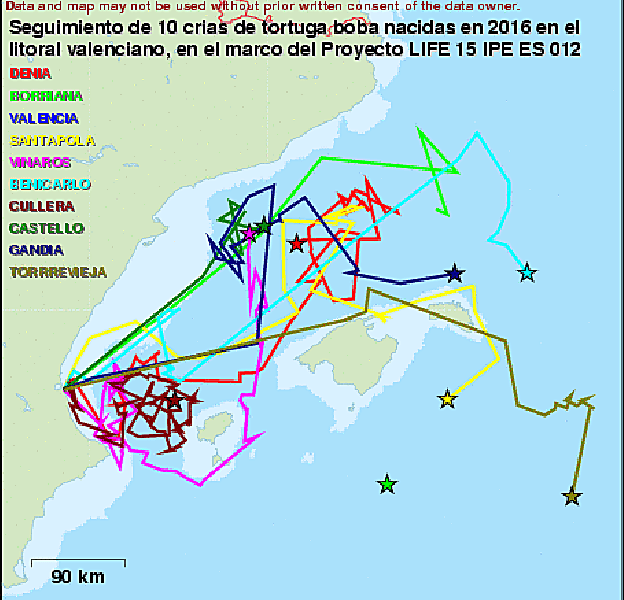 Mapa de seguimiento de las tortugas. 