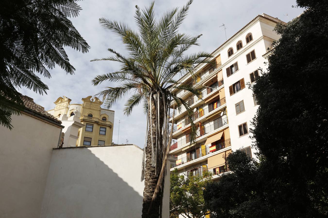 Fotos del abandono del jardín del antiguo hospital de Valencia