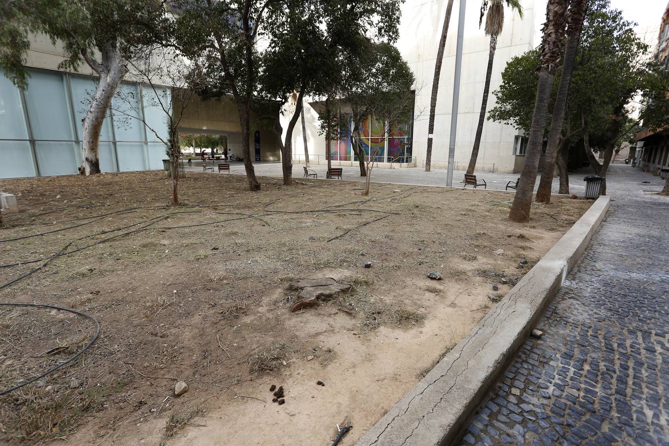 Fotos del abandono del jardín del antiguo hospital de Valencia