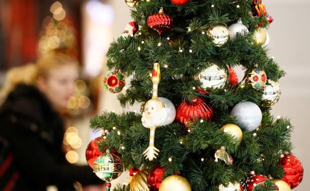 Dónde comprar árboles de Navidad en Valencia | Las Provincias