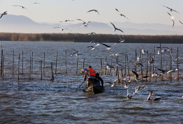 Pescadores en la Albufera en una imagen tomada desde el mirador de Pujol. 