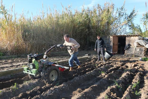 Pedro Herrero y su hijo cultivan la tierra para abastecer su restaurante.