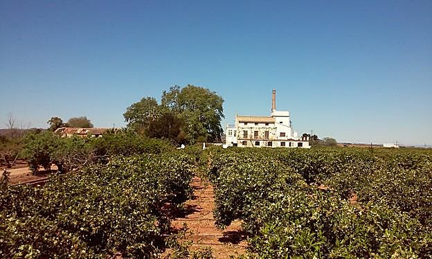 Huerto o torre de Aguilar, uno de los estudiados por Beltran en su libro. 