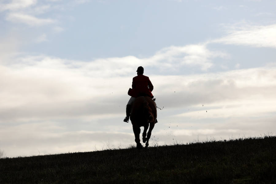El 26 de diciembre es una fecha señalada y polémica en Reino Unido. Se celebra el 'Boxing Day'. Este día, cientos de cazadores se dan cita en todo el país para la jornada más agitada del calendario: la caza del zorro. 