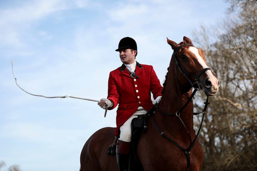 El 26 de diciembre es una fecha señalada y polémica en Reino Unido. Se celebra el 'Boxing Day'. Este día, cientos de cazadores se dan cita en todo el país para la jornada más agitada del calendario: la caza del zorro. 