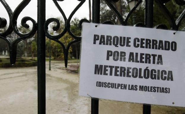 El viento alcanza ya rachas de 100 kilómetros en la Comunitat y provoca caída de árboles, destrozos y cierre de monumentos, museos y parques